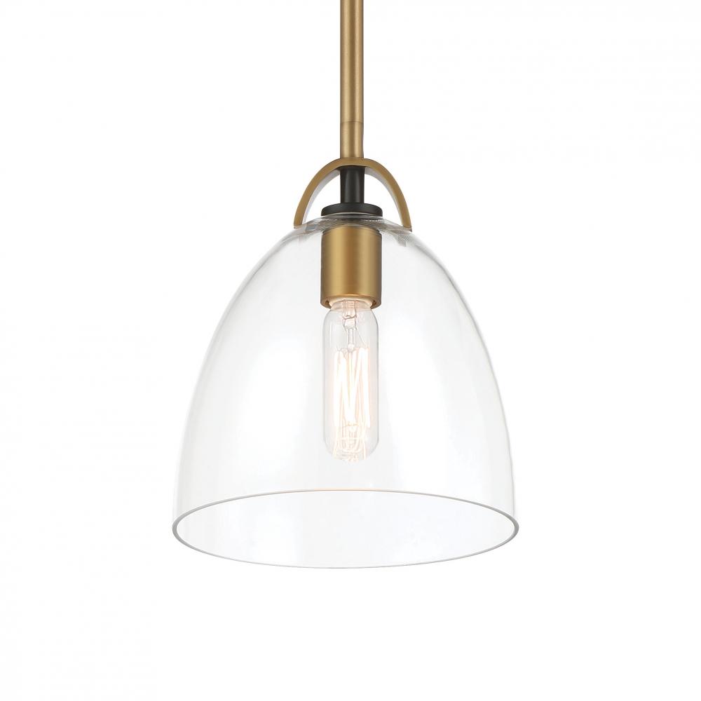 1 LIGHT PENDANT