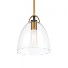 Minka-Lavery 5711-876 - 1 LIGHT PENDANT