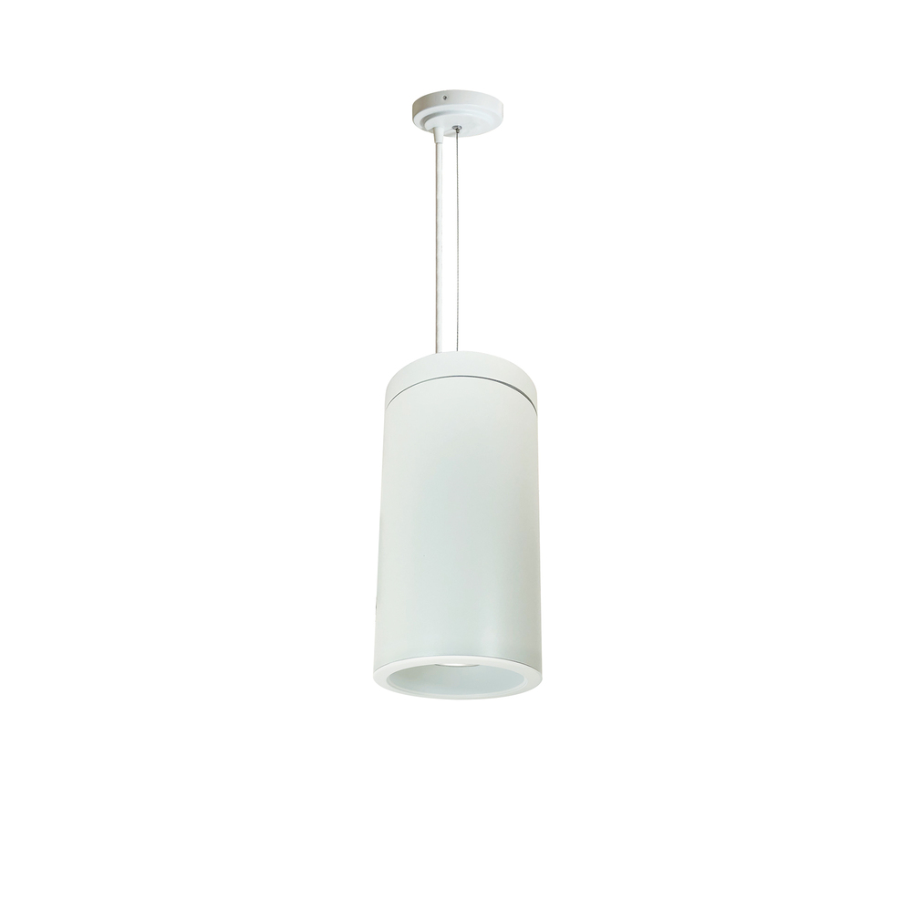 6" Cobalt Cable Mount Cylinder, White, 1000L, 4000K, White/White Reflector, 120V Triac/ELV/0-10V
