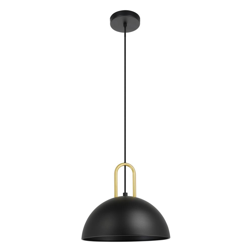1 LT Pendant w/ a Structured Black Finish & Brushed Brass Accents