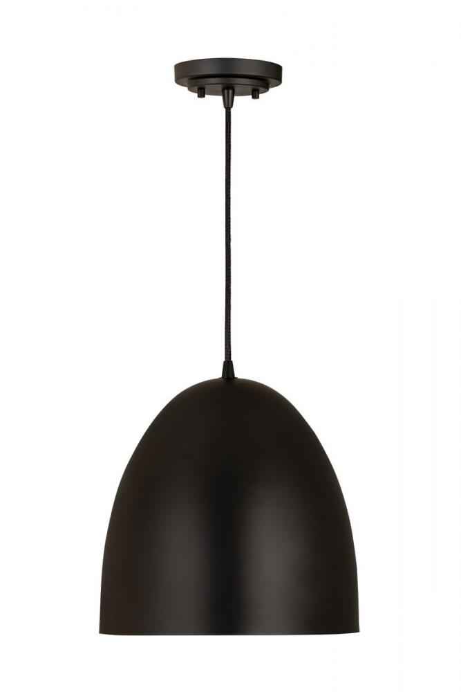 1 Light Pendant