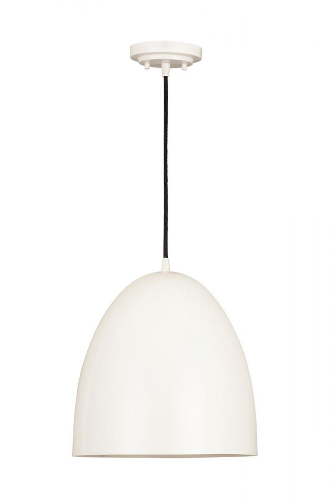 1 Light Pendant