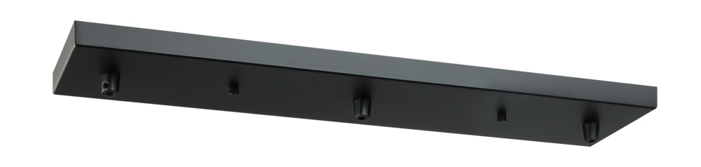 Multi Ceiling Canopy (Line Voltage) Black Canopy