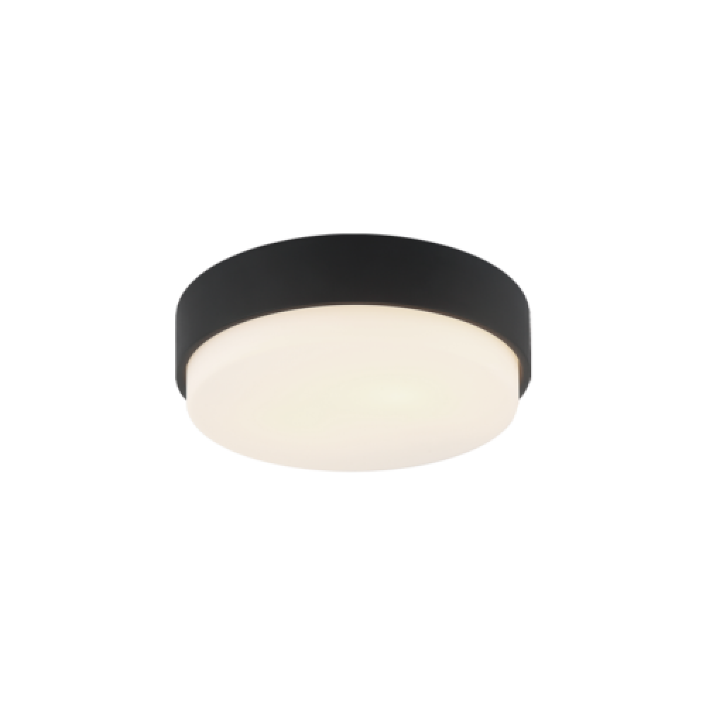 Quintz Matte Black Ceiling Mount