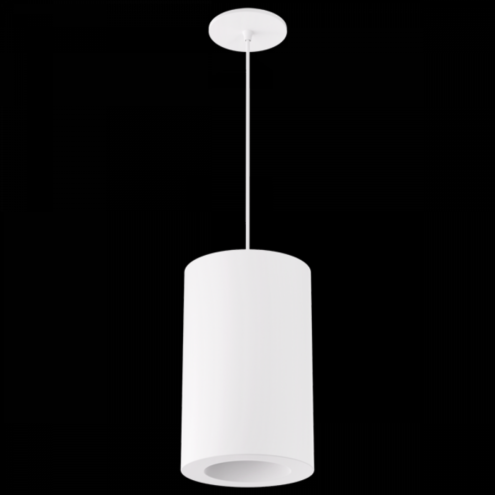 6" PPNDNT TRI/ELV 120V 1000LM 5CCT HZ/WHT