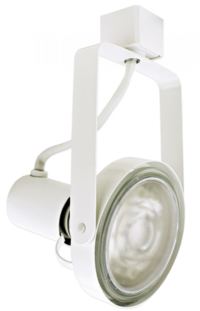 PAR 30 Line Voltage Front Loading Gimbal Track Fixture