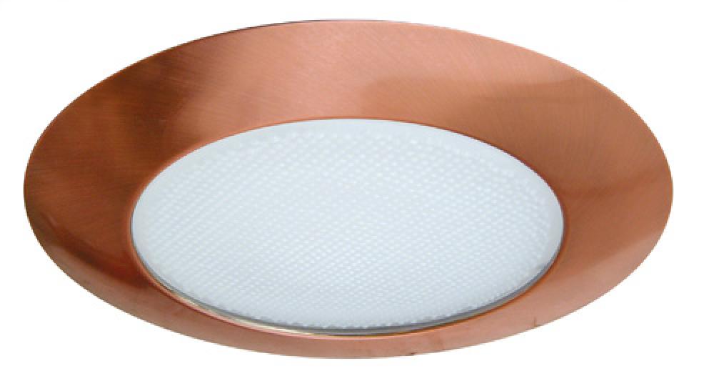 6" ALBLTE SHWR TRM PLSTC