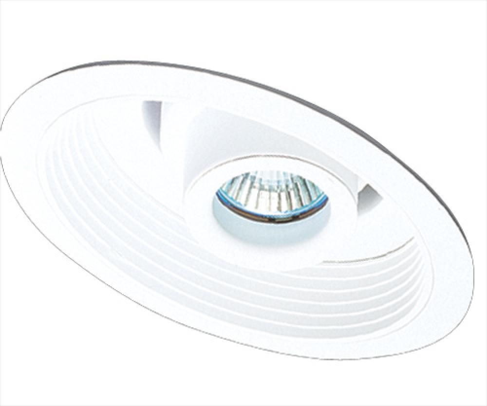6" Sloped Adjustable Spot with Baffle Trim