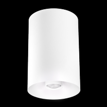 Elco Lighting E42FW-07SD-FC - 4" WHT SRFC MNT 18-50BM 750LM SSD