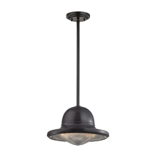 ELK Home 17252/1 - PENDANT